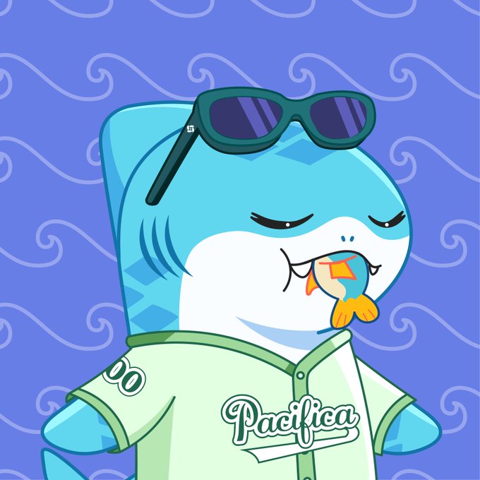 A cartoon illustration of a shark wearing sunglasses and a light green baseball jersey with 'Pacifica' written on it, eating a smaller fish.
