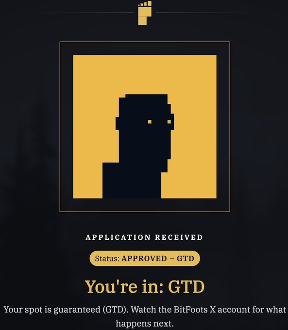 A digital graphic from BitFoots showing an 'APPLICATION RECEIVED' status with a pixel art portrait, announcing 'You're in: GTD' (Guaranteed) status.