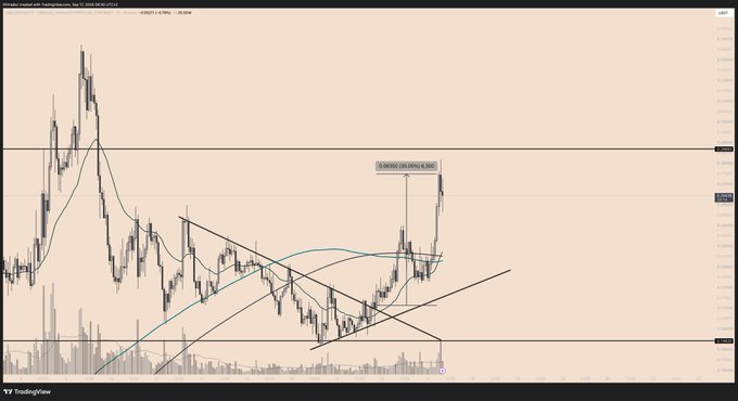 A TradingView candlestick chart displays $USELESS/USDC, with a technical analysis annotation reading "SCREW US PRVA BEHU" highlighting a recent sharp upward price breakout following a descending channel and subsequent breakout pattern, supporting the poster's claim of successfully catching the move and calling out those who faded it.