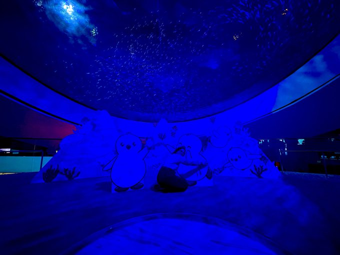A dark blue-lit room features silhouettes of penguin-like figures arranged on the floor beneath a ceiling projected to look like a starry night sky.