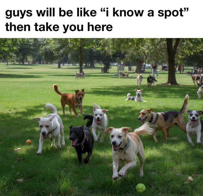 A meme with the caption 'guys will be like "i know a spot" then take you here' showing a park full of dogs running toward the camera.