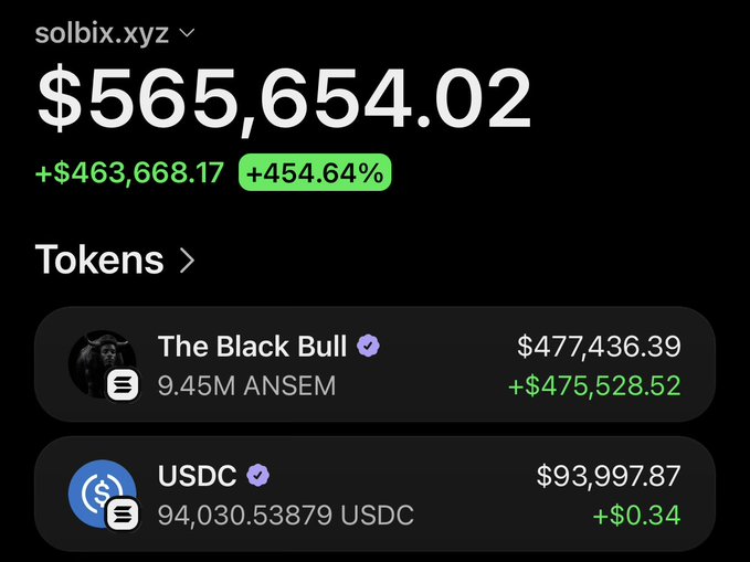 The image displays a wallet portfolio from solbix.xyz showing a total value of $565,654.02, with a gain of +$463,668.17 (+454.64%), featuring holdings of 9.45M $ANSEM (The Black Bull) valued at $477,436.39 and 94,030.53 USDC, which aligns with the post highlighting over $567,000 in profit on the $ANSEM token purchase made 11 days ago.