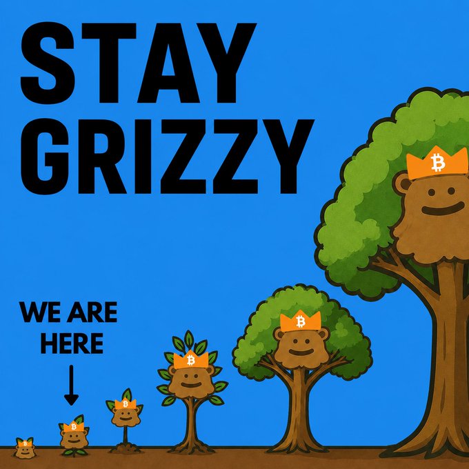 A 'Stay Grizzy' meme showing Bitcoin-themed tree characters growing progressively larger from left to right, with a 'We Are Here' arrow pointing to the smallest tree on the far left.