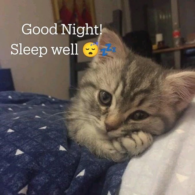 A sleepy tabby kitten rests its chin on a blanket with text overlay reading 'Good Night! Sleep well 😴💤'.