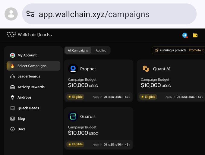 The image shows a computer screen displaying a webpage with information about campaigns, including the names of campaigns and their budgets. The text on the page reads "app.wallchain.quacks@zyz/campaigns", which indicates that this is an app for managing campaign data. The main focus of the post seems to be promoting the app or discussing its features, as it mentions a happy day and encourages users to keep quacking about the app's existence.