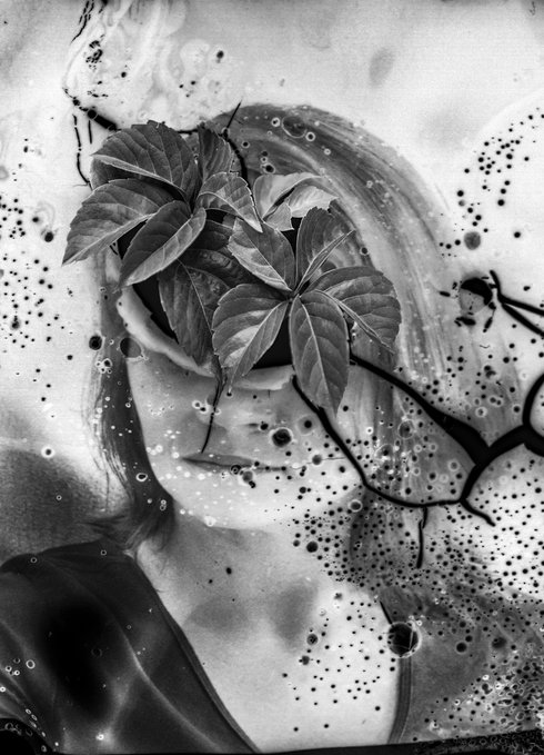 A black and white artistic composition showing a cluster of leaves surrounded by swirling, bubble-filled textures resembling ink or paint in water.