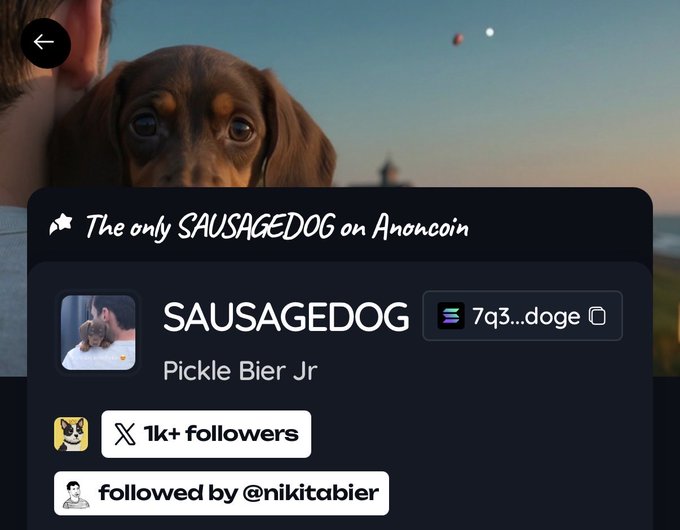 A social media profile card for "SAUSAGEDOG" on Anoncoin displays the dachshund "Pickle Bier Jr" with a wallet address starting "7q3...doge," over 1k+ followers, and notes it's followed by @nikitabier—showcasing Anoncoin's community-driven, meme-style identity in action.