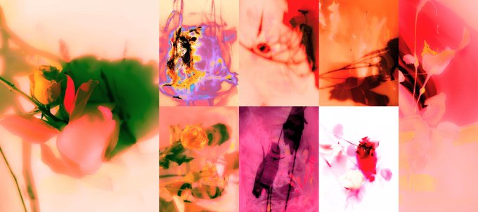 A colorful abstract artwork displays multiple panels of fluid, watercolor-like shapes in pinks, reds, greens, and purples with hints of floral motifs.