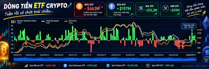 A Vietnamese-language crypto chart titled 'DÒNG TIỀN ETF CRYPTO' displaying weekly ETF inflows with data showing BTC ETF -$463M, ETH ETF +$197M, SOL ETF +$10.3M, and XRP ETF +$19M.