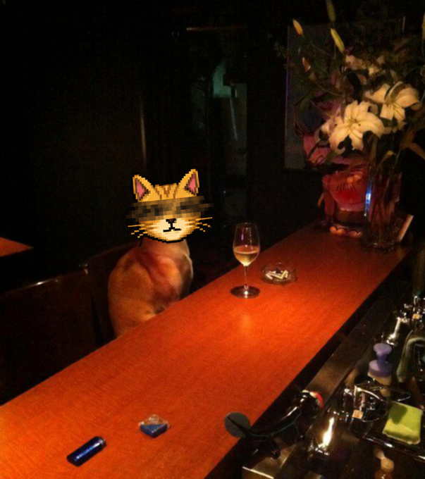 An orange cat sits at a wooden bar counter with a glass of pale liquid, its face obscured by a pixelated cat sticker.