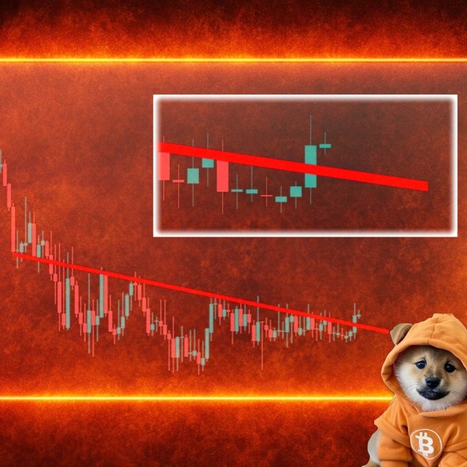 A Bitcoin trading chart showing a downward trend line against a red background, with an inset zoomed-in chart and a Shiba Inu dog mascot wearing a hoodie with the Bitcoin logo in the corner.