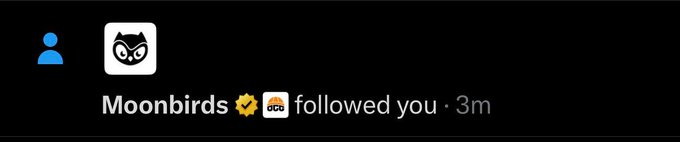 A notification showing that the Moonbirds and OTO accounts followed the user, directly addressing their request for more mutuals by showcasing new followers.