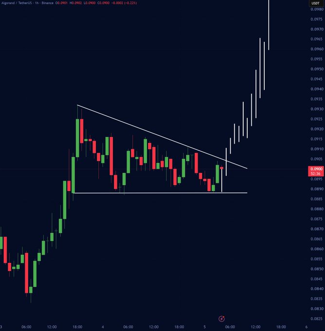 This is a 1-hour candlestick chart of Algorand (ALGO/USDT) on Binance, displaying a descending trendline connecting highs around $0.0930-$0.0940 down to support near $0.0890, forming a bull-flag pattern that has just broken out to the upside. The price action shows a strong bullish continuation beyond the flag, rallying from the $0.0890 support up toward and above $0.0960, visually confirming the post's prediction of a breakout toward the $0.0950-$0.0985 target zone.