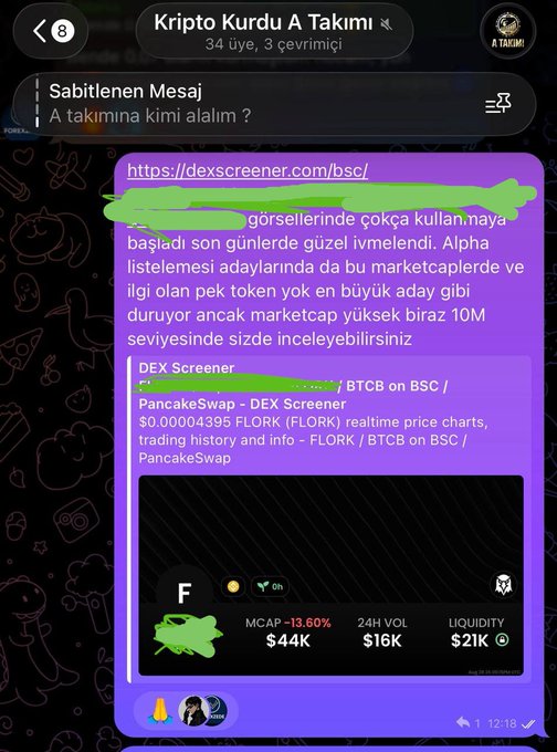 A Turkish-language Telegram post titled 'Kripto Kurdu A Takımı' discussing a new token launch on PancakeSwap via DEXScreener.