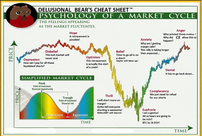 A chart titled 'DELUSIONAL BEAR'S CHEAT SHEET: PSYCHOLOGY OF A MARKET CYCLE' showing emotions like Depression, Disbelief, Hope, Optimism, Belief, Thrill, Euphoria, Complacency, Denial, Anxiety, and Anger across price and time.