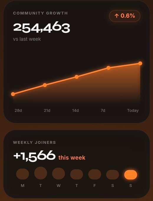 A community growth dashboard displays 254,463 members (up 0.6% from last week) on an ascending 28-day trend chart, with weekly joiners showing +1,566 this week peaking on Sunday. The image visually reinforces the post's argument that Quant AI's growth stems from providing context, risk analysis, and reasoning behind prices rather than just numerical gains.