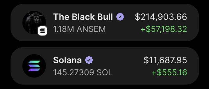 The image shows two crypto portfolio entries: "The Black Bull" holding 1.18M ANSEM valued at $214,903.66 (+$57,198.32), and a Solana wallet holding 145.27309 SOL valued at $11,687.95 (+$555.16), likely displayed as a brag in response to the request for a Solana address.
