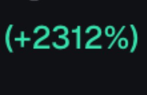 The image displays a green text reading "(+2312%)" on a black background, representing a massive gain. This corresponds to the post's anecdote about buying a random memecoin and returning from a shower to find a huge winning position of +2312%.