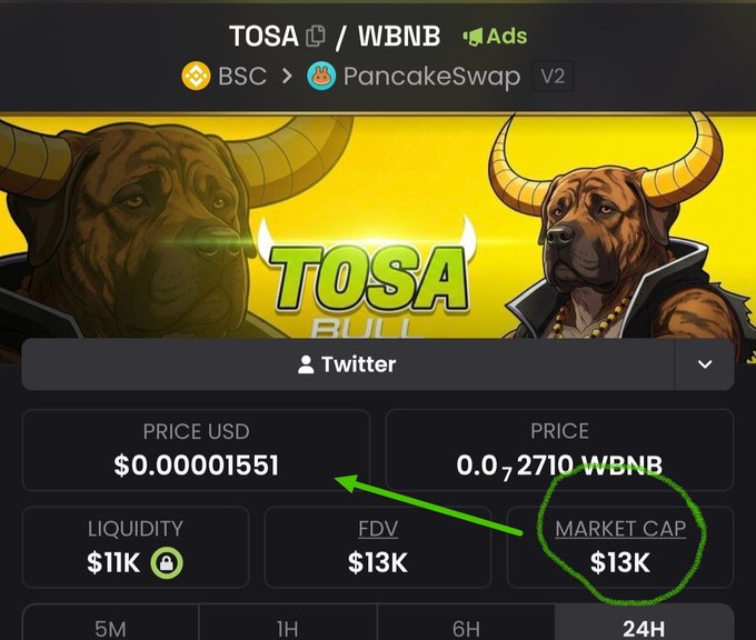 The image shows a crypto tracking page for the $TOSA token on PancakeSwap V2 (BSC network), displaying a price of $0.00001551 with a market cap of $13K (highlighted in green) and liquidity of $11K. The accompanying post promotes $TOSA as an altcoin/memecoin pick for the upcoming 2026 bull run, emphasizing its low $15K market cap as an early entry opportunity, which aligns with the small market cap figure circled in the image.