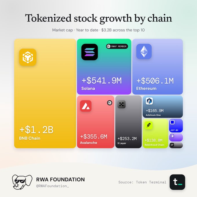 An infographic titled "Tokenized stock growth by chain" showing market cap year-to-date, led by BNB Chain at +$1.2B, followed by Solana at +$541.9M and Ethereum at +$506.1M, sourced from Token Terminal.