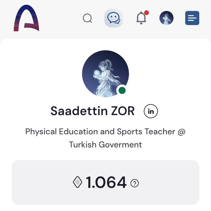 A profile page screenshot shows the name 'Saadettin ZOR, Physical Education and Sports Teacher @ Turkish Goverment' with an avatar of an anime-style character and a score of '1.064'.