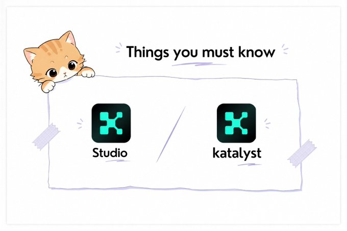 An illustrated graphic with a cartoon cat peeking over a white paper banner titled 'Things you must know,' featuring two teal 'X' logos labeled 'Studio' and 'katalyst' separated by a slash.