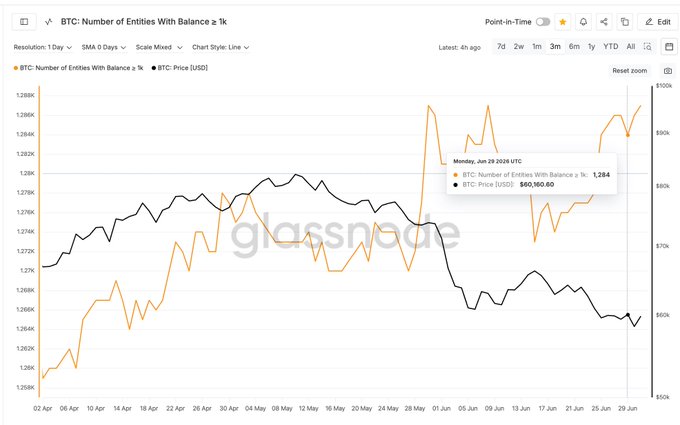 Glassnode chart titled 'BTC: Number of Entities With Balance ≥ 1k' showing the count (orange line, ~1.27K–1.285K range) and BTC Price in USD (black line, ~$60K–$100K range) from April 2 to early June, with a tooltip highlighting June 3, 2024 at 1,284 entities and $66,160.60.