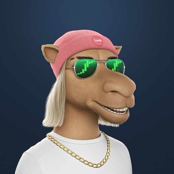 A 3D-rendered illustration of a camel character wearing a pink 'Camel' beanie, gold chain necklace, and green sunglasses displaying a chart pattern.