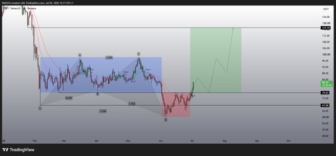 This TradingView chart displays the price action of SOL/USDT with bullish harmonic patterns and a projected upward trend in green, aligning with the "LFG? $SOL" post.