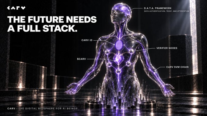 A transparent humanoid figure stands illuminated in purple light, labeled with CARV's components: D.A.T.A Framework, CARV iD, $CARV, Verifier Nodes, and CARV SVM Chain, beneath the headline "THE FUTURE NEEDS A FULL STACK." The image visually reinforces the post's message by depicting CARV as a layered "full stack" infrastructure for AI Beings, going beyond simple agents to provide identity ($CARV iD), authenticated data (D.A.T.A Framework), verifiable action (Verifier Nodes), and an economy ($CARV on SVM Chain).