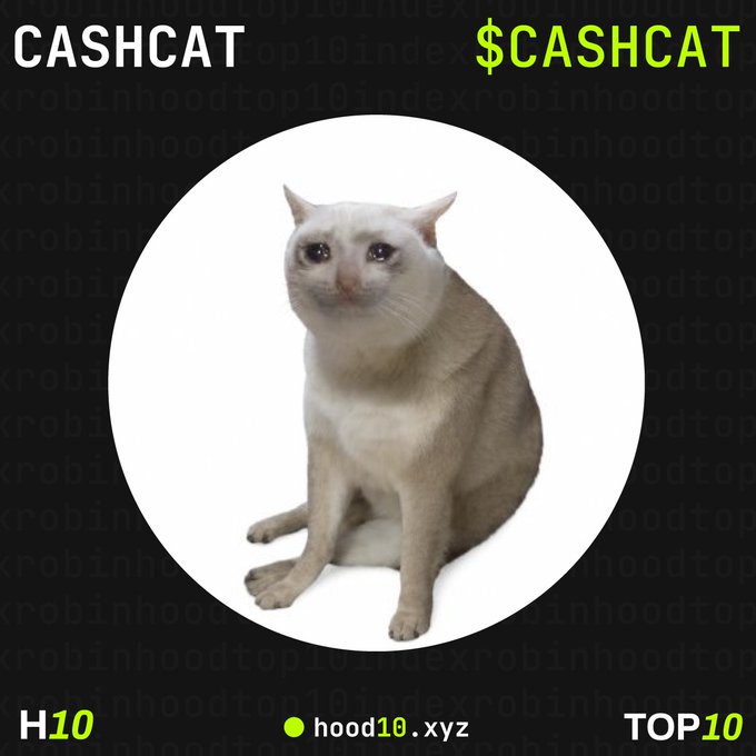 The image features a smiling white cat inside a circular frame, with "CASHCAT" and "$CASHCAT" displayed at the top corners and "hood10.xyz" at the bottom, promoting the meme token as a featured HOOD10 index constituent. The watermark "robinhoodtop10index" is faintly visible in the background, reinforcing its status as one of the longest-standing members of the index.