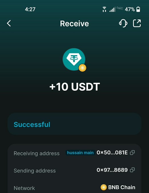Mobile cryptocurrency wallet screenshot showing a successful USDT (BNB Chain) transaction of +10 USDT received, with truncated wallet addresses and BNB Chain network indicator.