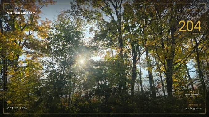 A sunlit forest scene with autumn foliage, overlaid with text including 'verified outdoors', 'OCT 12, 2026', '204 meters', and 'touch grass'.