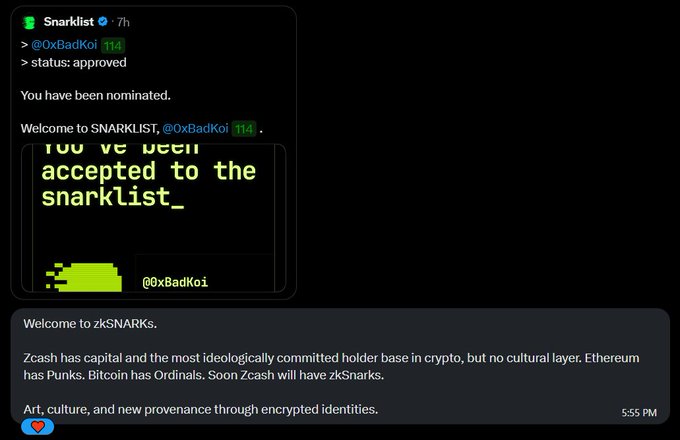 A screenshot shows a Twitter notification from Snarklist welcoming '@0xBadKoi' as nominated, along with a message about 'zkSNARKs' comparing Zcash, Ethereum, and Bitcoin.