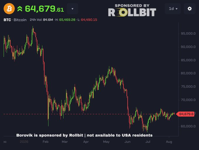 A dark-themed Bitcoin (BTC) price chart from Borovik showing the cryptocurrency at $64,679.61, with a 24h volume of 84.6M, displayed over a daily timeframe with a notable downward trend since December 2024, sponsored by Rollbit.