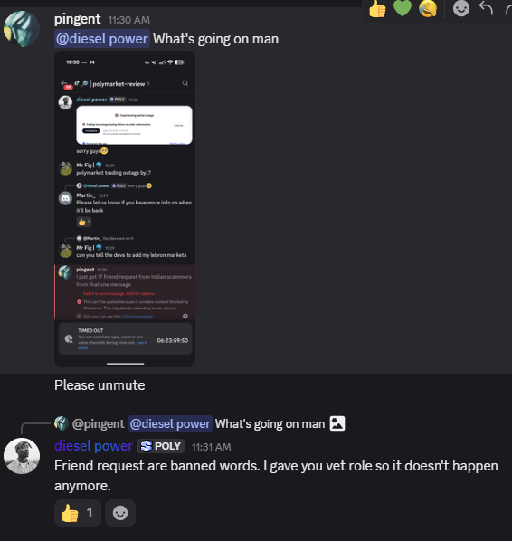 A Discord conversation screenshot shows user 'pingent' asking '@diesel.power' 'What's going on man', with the reply 'Friend request are banned words. I gave you vet role so it doesn't happen anymore.'