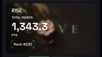 A dark-themed digital display shows a 'RISEX' points dashboard with 'TOTAL POINTS 1,343.3 PTS' and a rank of '#230' in green text, set against a faint floral background.
