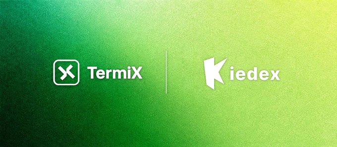 A simple green and yellow gradient graphic displaying the logos for 'TermiX' and 'Kiedex' side by side, separated by a vertical line.