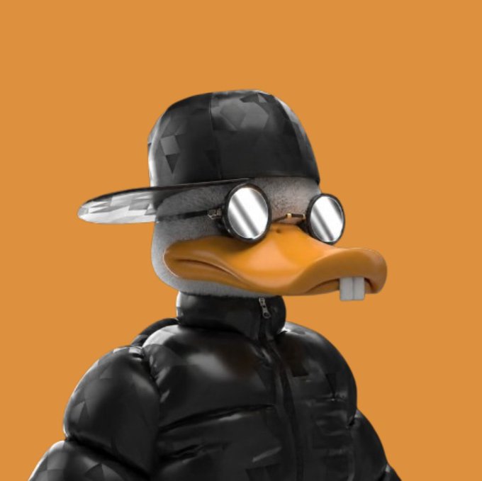 A 3D-rendered character featuring a duck-like bill, round reflective sunglasses, a black puffy jacket, and a black cap against a solid orange background.