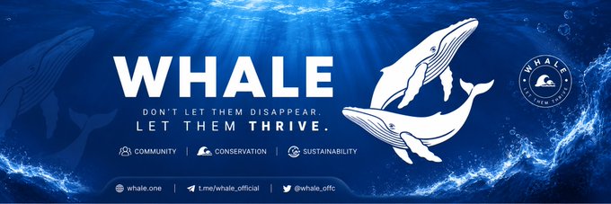 A promotional banner for 'WHALE' cryptocurrency project with the tagline 'DON'T LET THEM DISAPPEAR, LET THEM THRIVE,' featuring whale illustrations and links for Community, Conservation, and Sustainability.