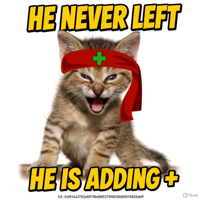 A meme image displays a wide-eyed kitten wearing a red bandana with a green cross, with the text 'HE NEVER LEFT' at the top and 'HE IS ADDING +' at the bottom, created using Grok.