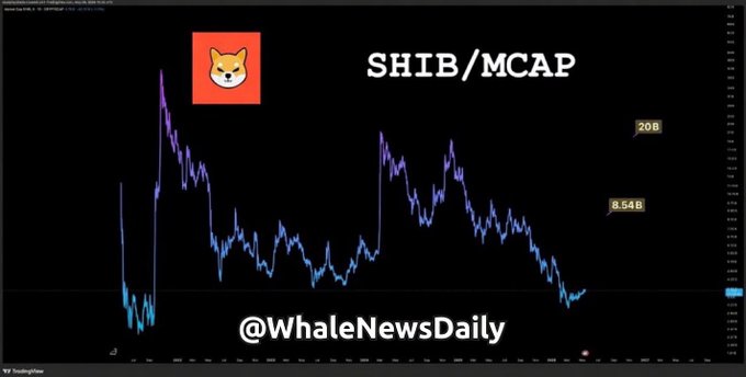 The image shows a SHIB/MCAP chart with higher highs trending toward $8.54B (and a $20B target marked), supporting the post's claim that SHIB is in accumulation with rising market cap signaling an impending breakout. The chart visualizes the bullish MCAP trajectory referenced in the caption, reinforcing the "real move is coming" sentiment.