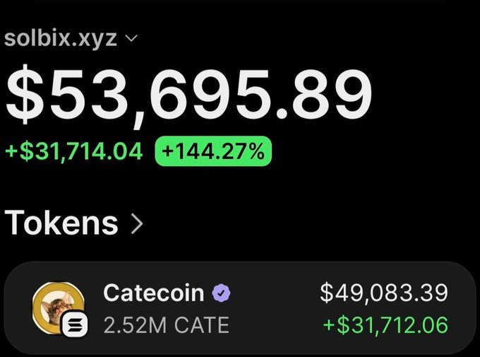 A screenshot of the Solbix wallet tracker (solbix.xyz) showing a portfolio value of $53,695.89 with a +$31,714.04 gain (+144.27%), driven almost entirely by a 2.52M CATE ($Catecoin) holding worth $49,083.39 (+$31,712.06), visually backing the claim of turning a small initial $CATE buy into roughly 50x returns.