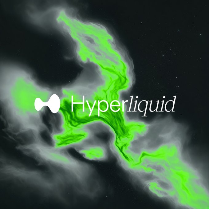 The image features the "Hyperliquid" logo with its distinctive symbol, set against a swirling green and white misty background reminiscent of aurora lights. The vibrant green imagery visually reinforces the post about the $HYPE token reaching a new all-time high and being the best-performing cryptocurrency in the top 50, up 220% year-to-date.