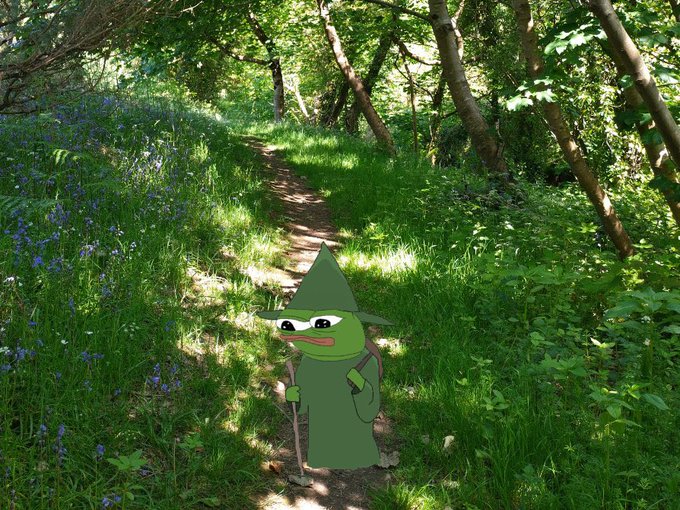 An edited image of a forest path with bluebells and green foliage, featuring a crudely drawn cartoon Pepe the Frog character dressed as a wizard with a green hat and cloak, holding a staff.