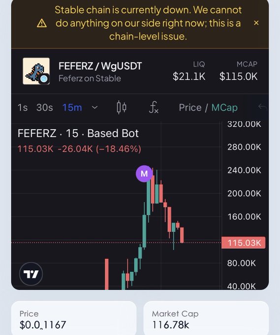 Trading interface showing a 'Stable chain is currently down' warning message, with chart for 'FEFERZ / WgUSDT' on Stable, priced at $115.03K with a market cap of $115.0K, down 18.46%.