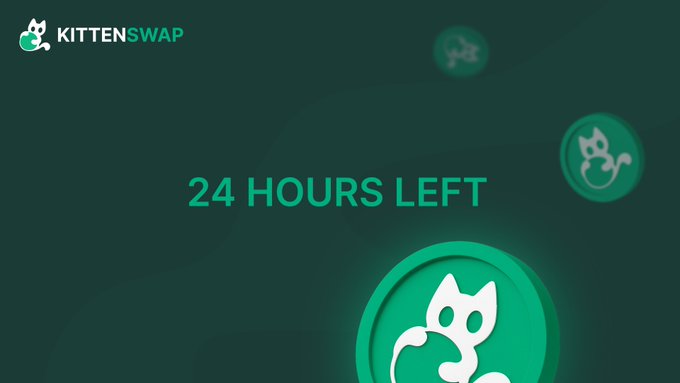 A KittenSwap promotional graphic features a dark green background with '24 HOURS LEFT' in teal text, the KittenSwap logo in the top-left, and a green circular icon containing a white cat silhouette in the bottom-right.
