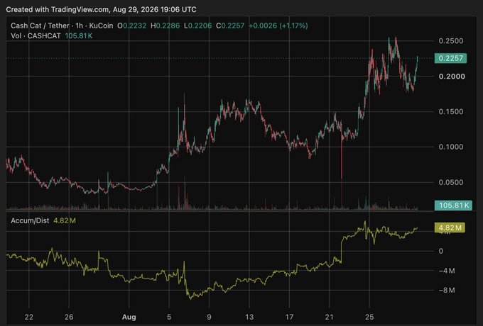 A TradingView chart showing the price action of 'Cash Cat / Tether' (CASHCAT) on KuCoin, displaying an upward trend with a current price of 0.2257.