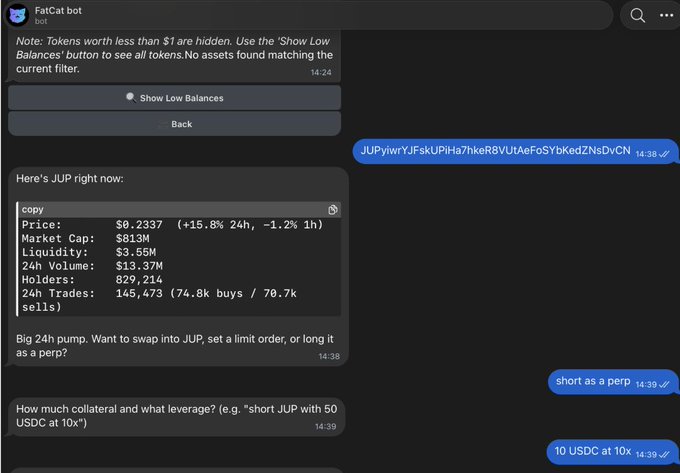 A Telegram chat with the FatCat bot showing market data for the JUP token (Price: $0.2337), along with user messages instructing to short as a perp using 10 USDC at 10x leverage.