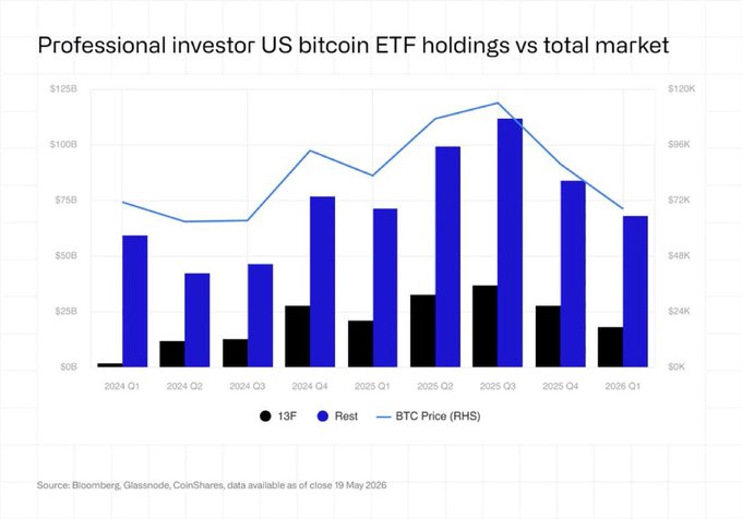 The image presents a chart that compares the gains made by professional investors when holding Bitcoin over time. The graph shows a significant increase in Bitcoin values from $1 to almost $14,000 between 2014-2018 (with $13K as the lowest value). This upward trend is evident as shown on the line graph and points towards an increase in the bitcoin market. The chart also displays two bars representing the total Bitcoins owned by professional investors, one black and one blue, which are stacked above each other. There's also a bar that depicts the initial Bitcoins held by these professionals.